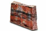 Tall Colorful Arizona Petrified Wood Bookends - Black & Red #382143-1